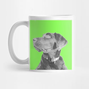 Black Labrador Retriever in Green Headshot Mug